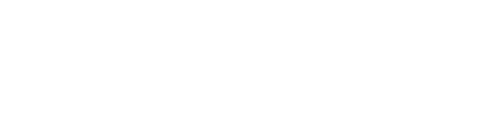 Pole Vault Elite